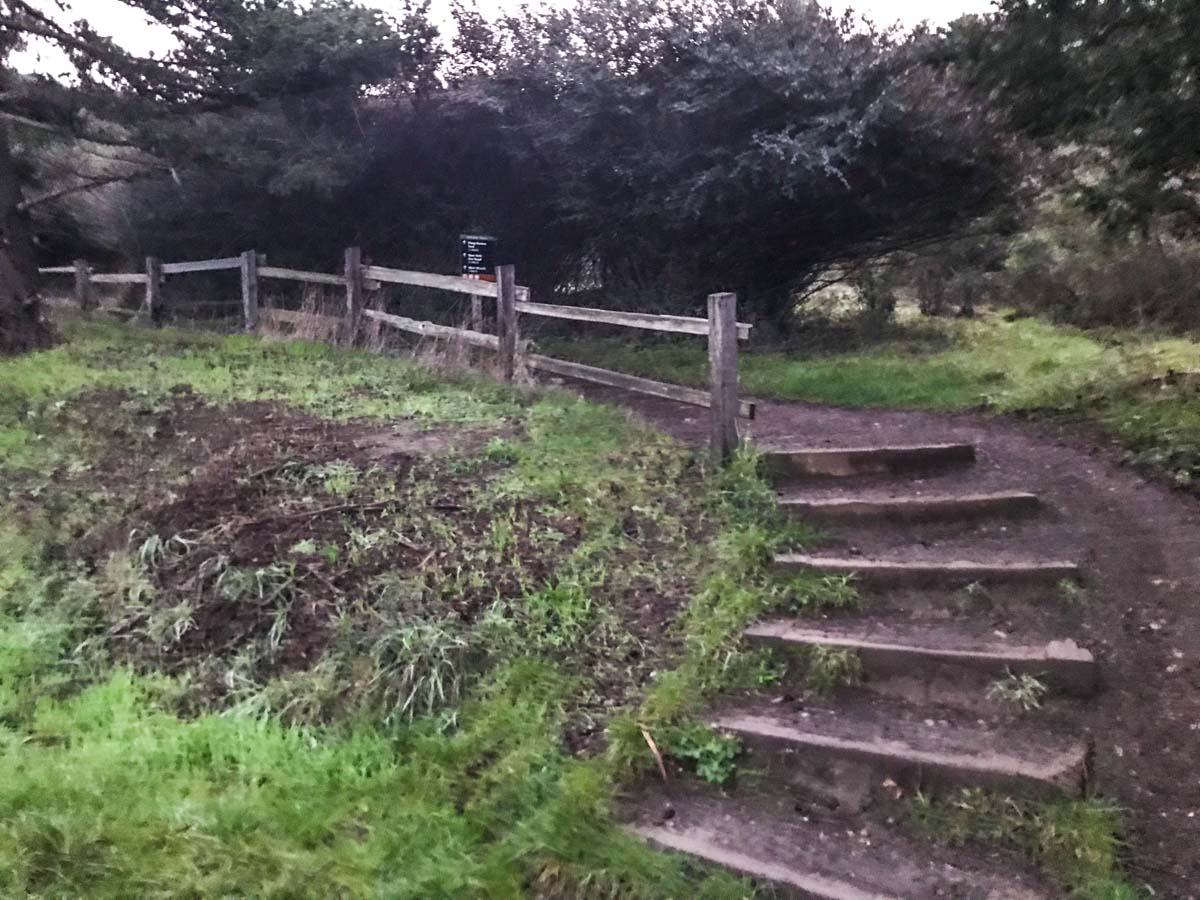 Head up this trail off Panoramic Highway