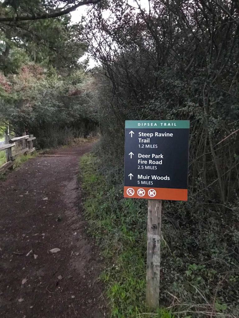Dipsea Trail