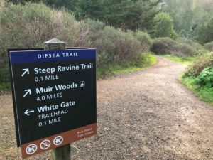 Nearing the Steep Ravine Trail