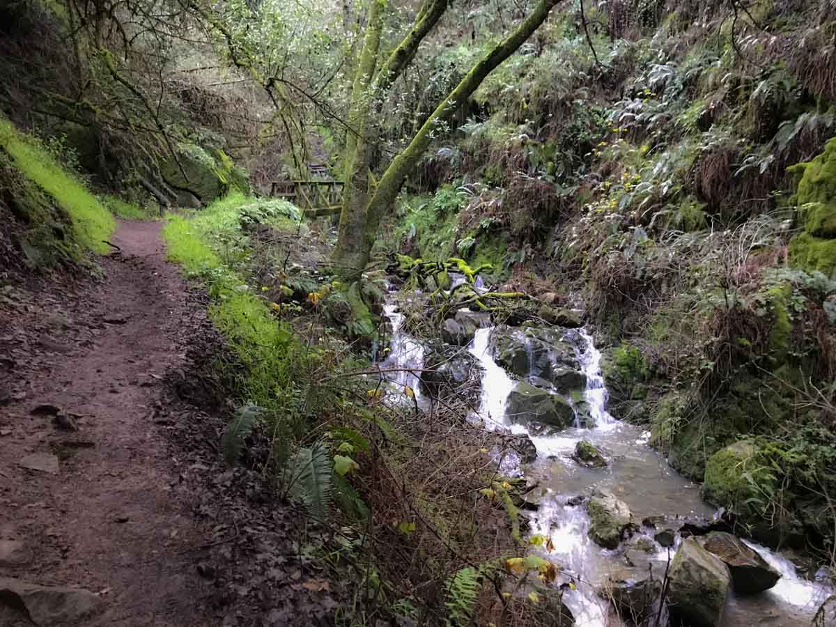 Cascades alongside the Steep Ravine Trail