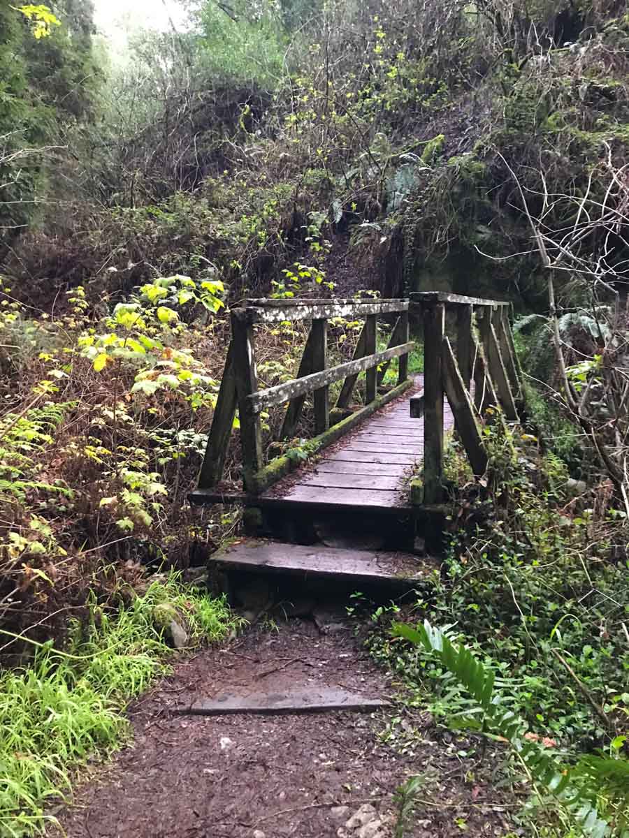 One of the wood bridges that criss-cross the ravine