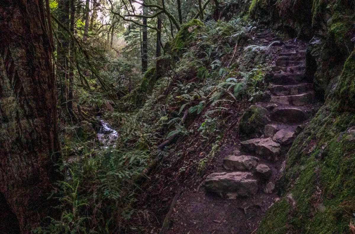 Steep steps require careful footing