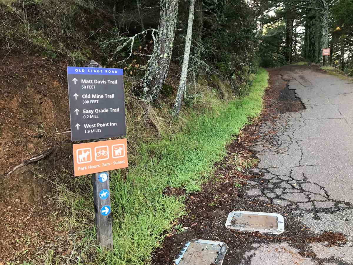 Cross the Panoramic Highway from Pantoll Camp and take the Old Stage Road