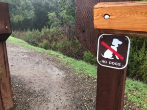 The Mt Umunhum Trail begins across the road from the parking. No dogs allowed. Sorry Fido.