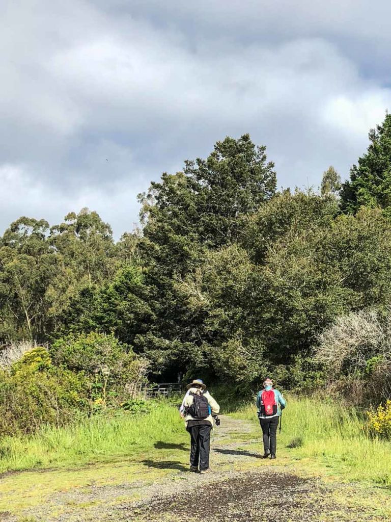 Starting down the trail