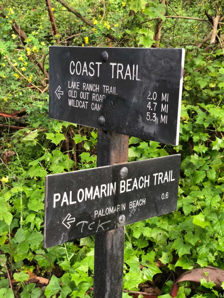 Stay on the Coast Trail