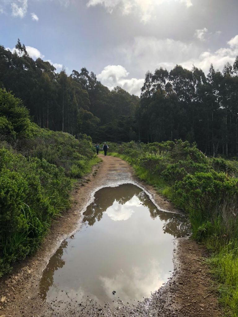 The trail was waterlogged from rain the day before