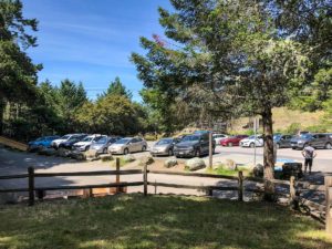 Pantoll Campground parking area