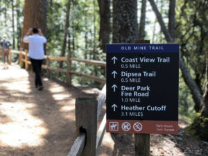 Junction to the Old Mine Trail