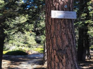 Sign to Mount San Jacinto at Saddle Junction