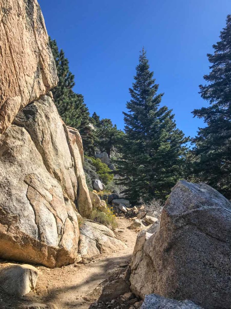 Climbing toward Wellmans Divide
