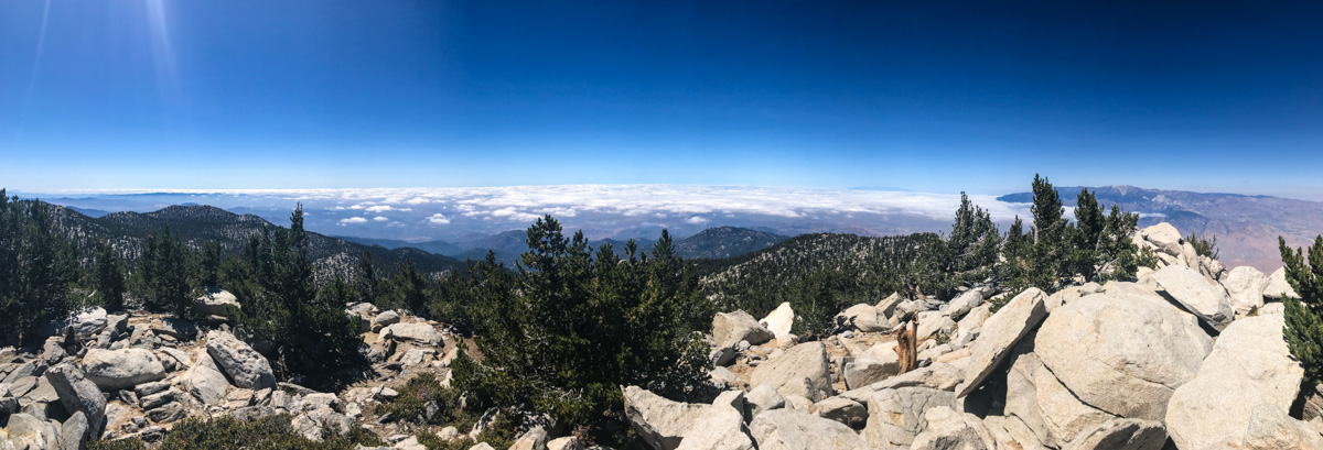 Hiking Mt San Jacinto via Humber Park in Idyllwild