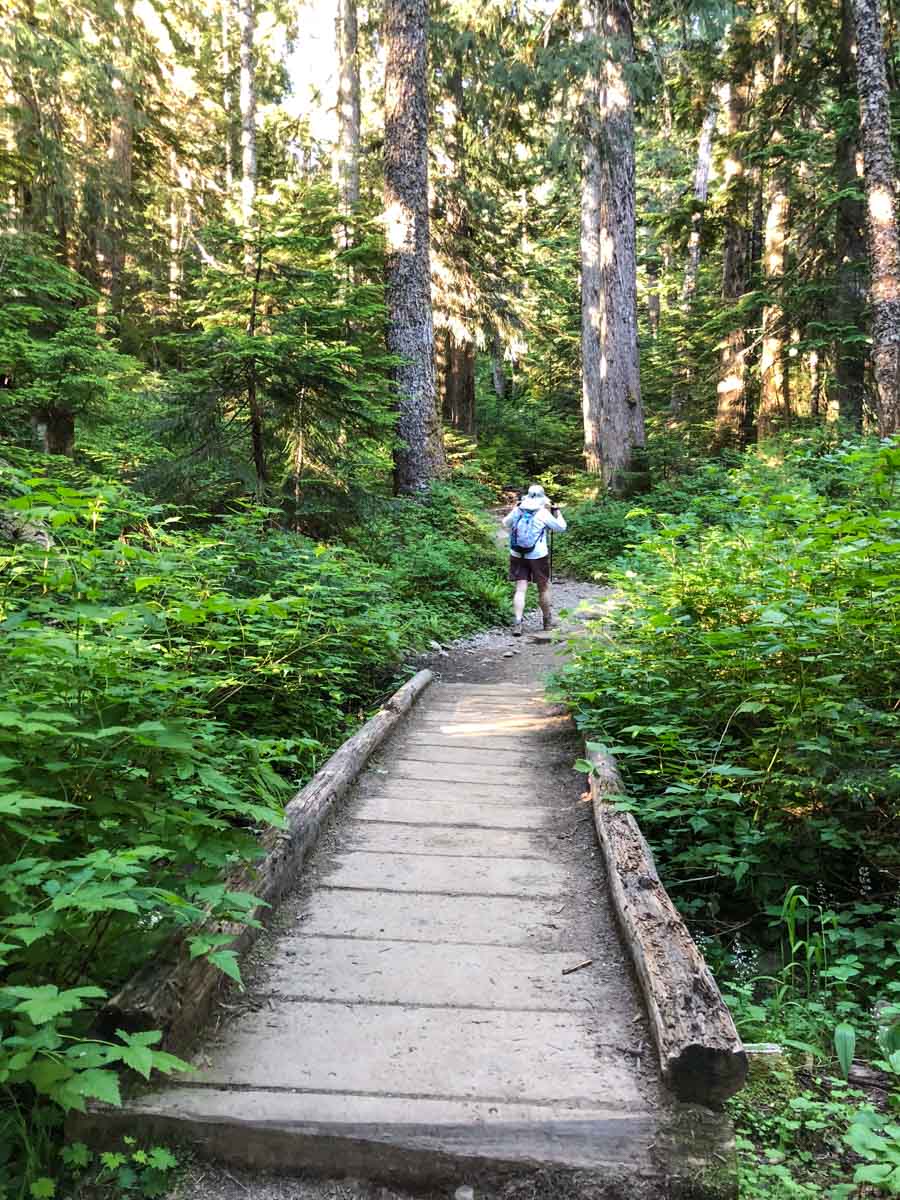 One of several wood bridges on the lower portion of the Mt Pilchuck Trail