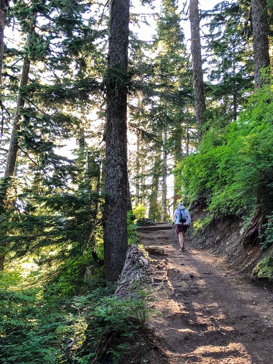 The lower section of the Mt Pilchuck Trail is quite nice