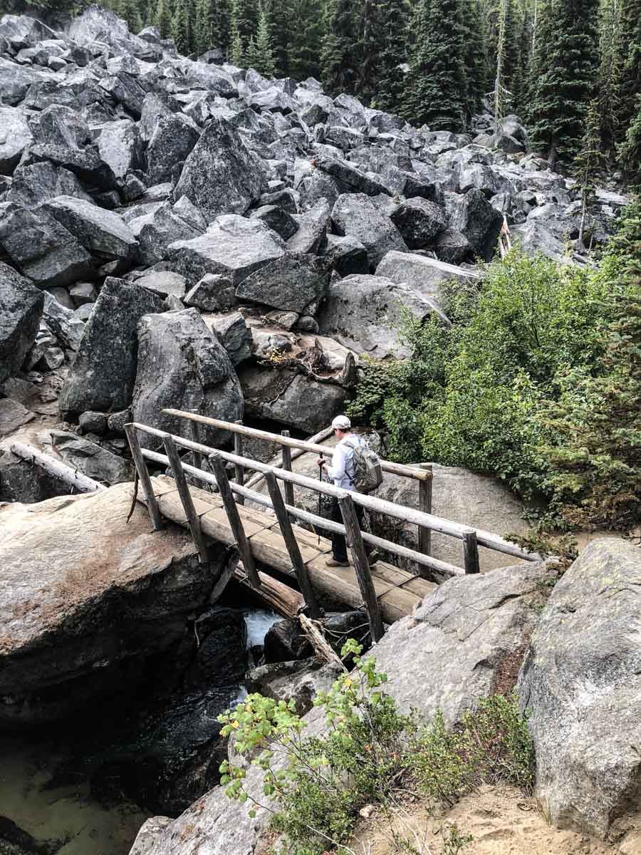 Log bridge at boulder field