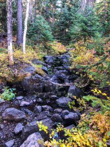Crossing Skyline Creek on Maiden Peak Trail