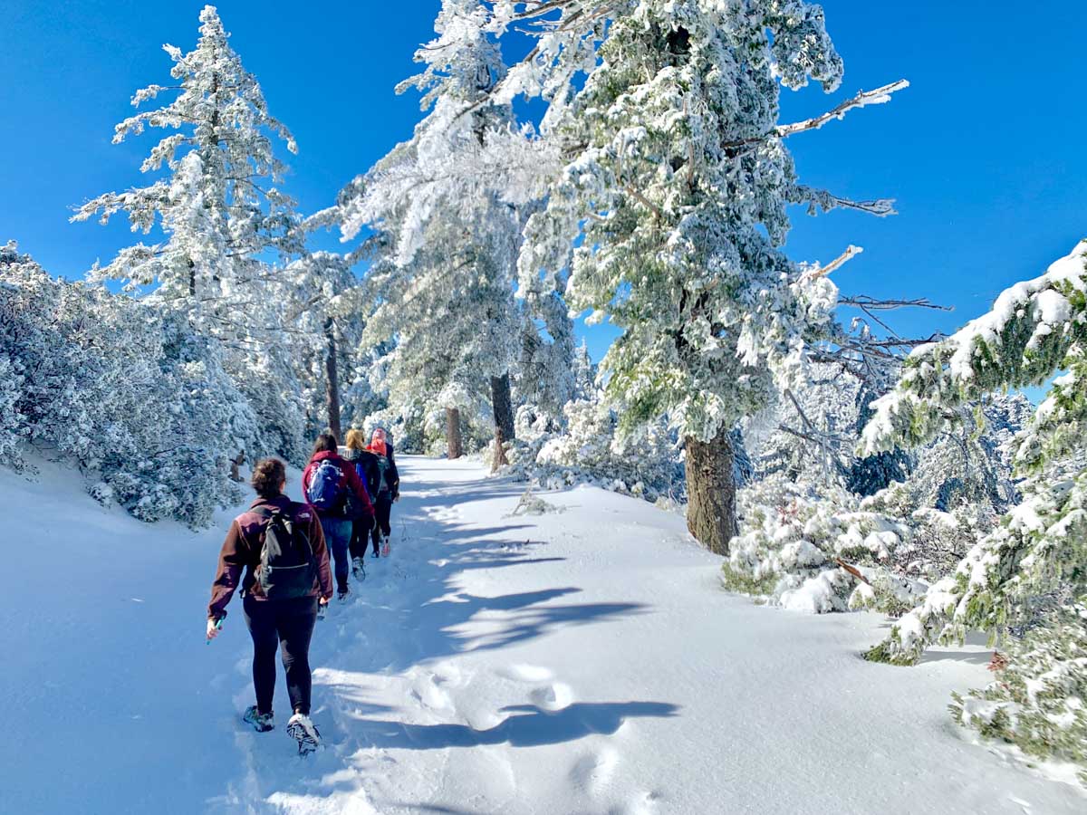 Winter wonderland on Mount Saint Helena