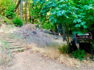 Start of the Mt Saint Helena Trail