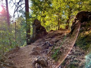 A rocky section of the Mt Saint Helena Trail