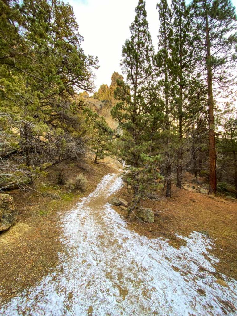 A little snow on the trail