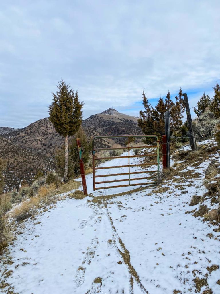 Livestock gate