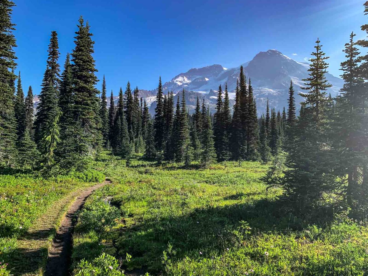 Backpacking the Wonderland Trail - Day 2
