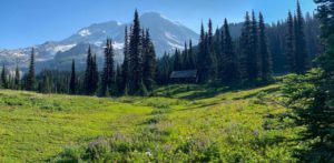 Indian Henry's Hunting Ground on the Wonderland Trail