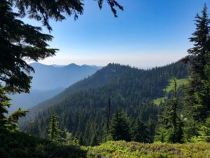 Wonderland Trail Day 2: Devil’s Dream to North Puyallup River – SoCal Hiker