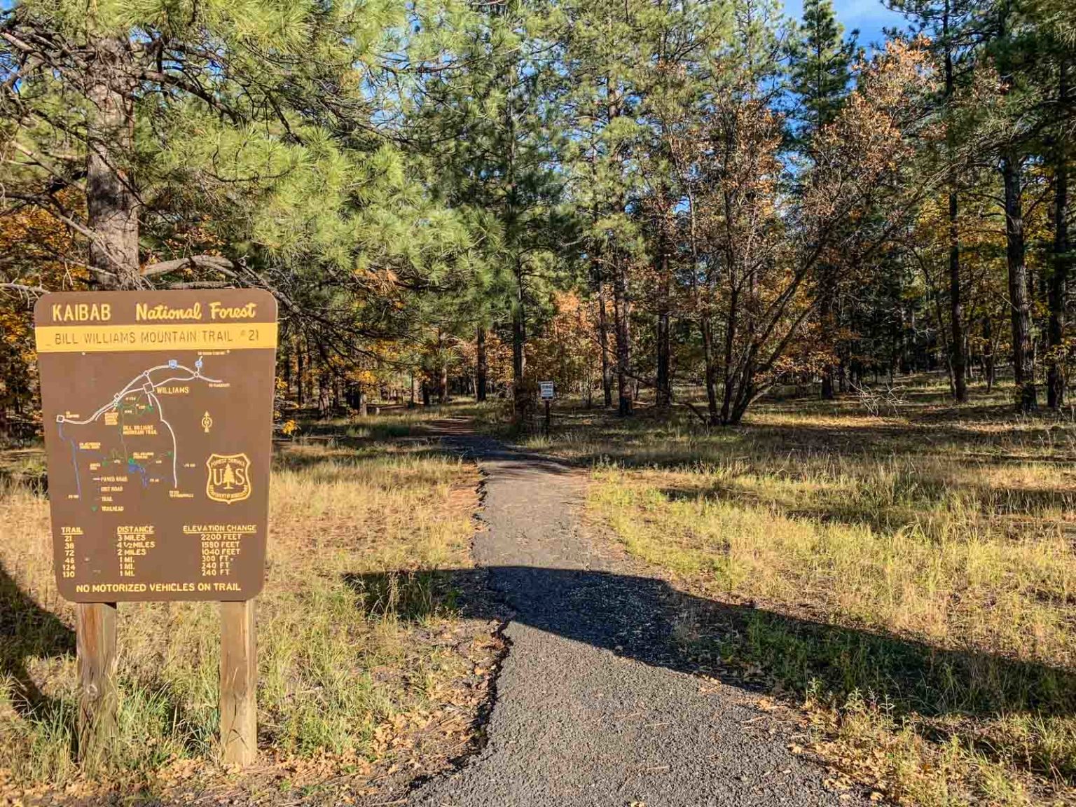 Bill Willams Mountain Trailhead