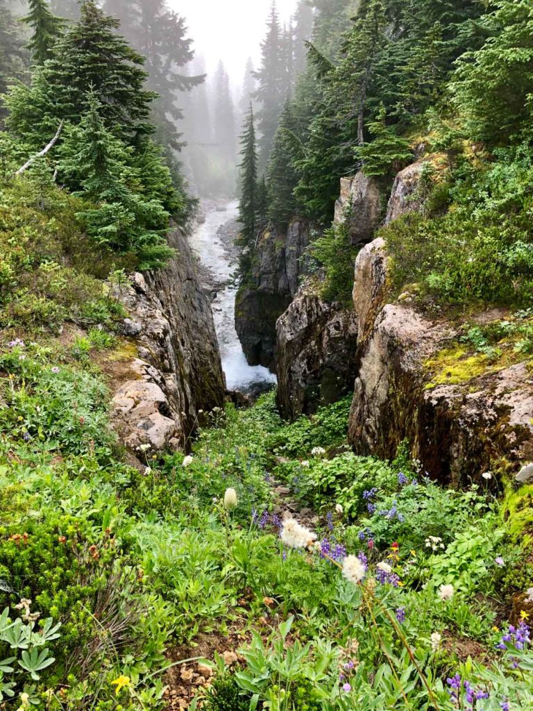 The ravine at Indian Bar