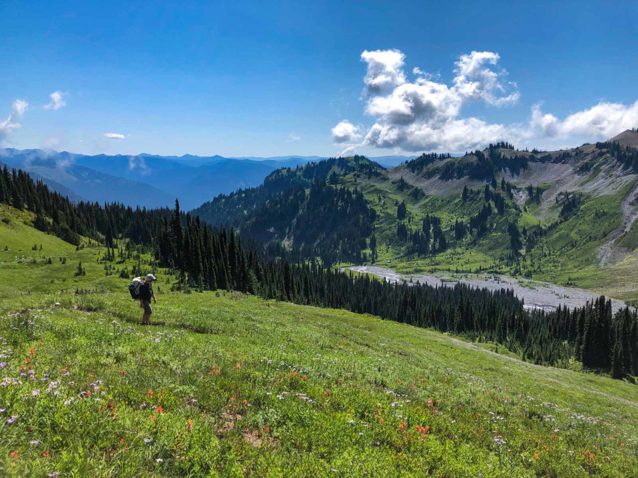 Wildflowers and Derek above Indian Bar on the Wonderland Trail