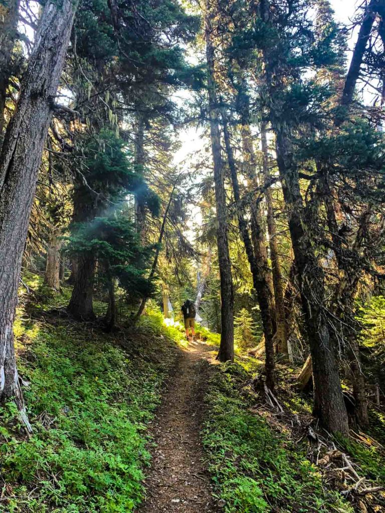 Jason climbing the trail above Granite Creek Camp