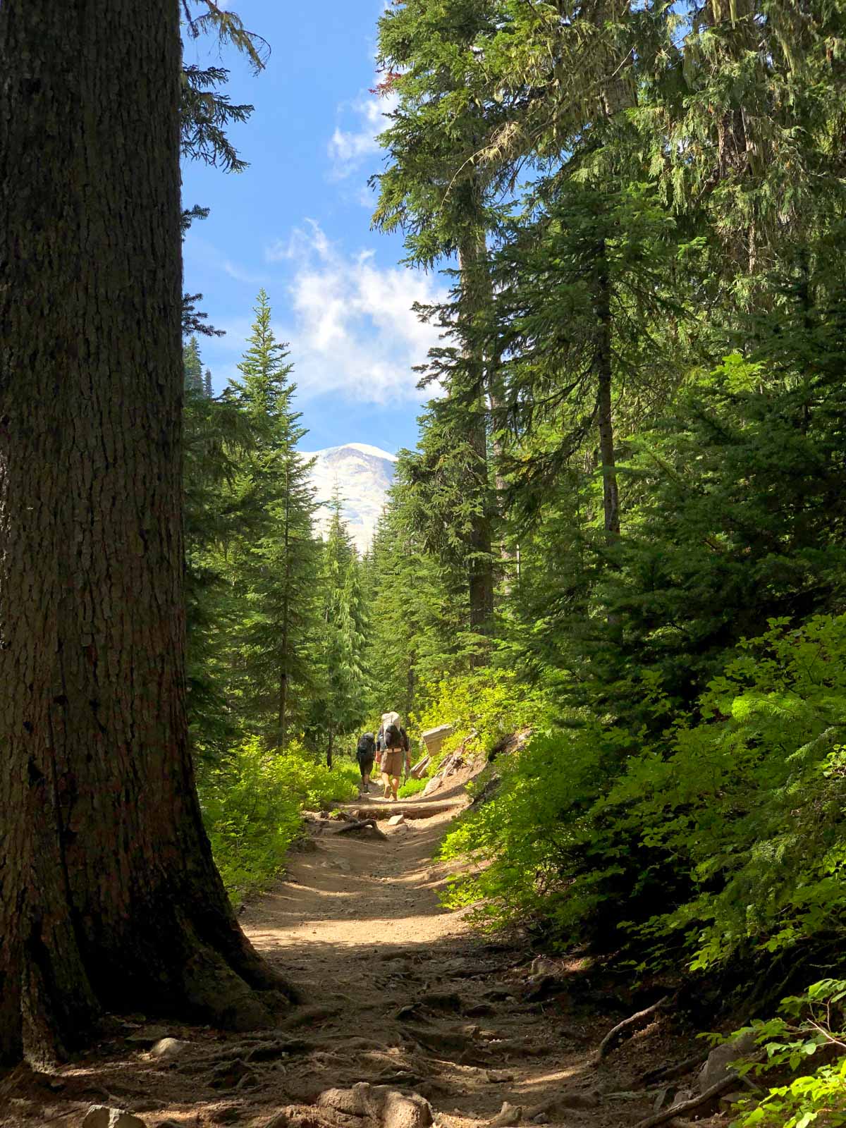 Headed to Summerland on the Wonderland Trail