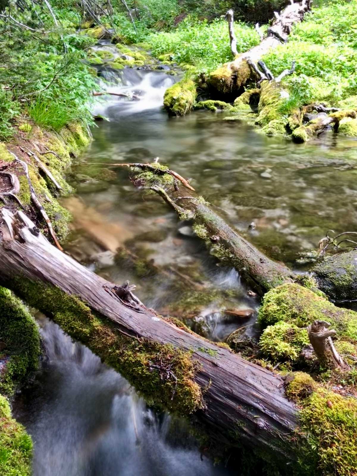 Granite Creek on the Wonderland Trail