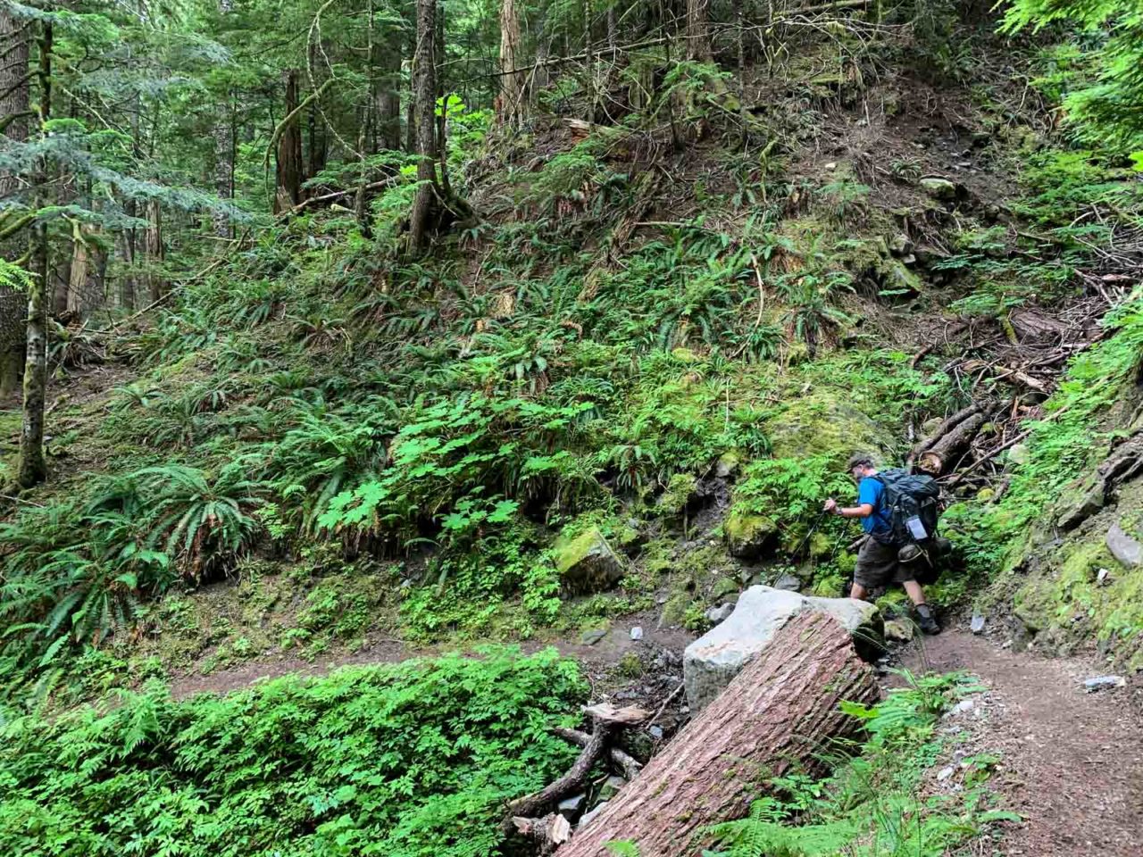 Jason on the Wonderland Trail