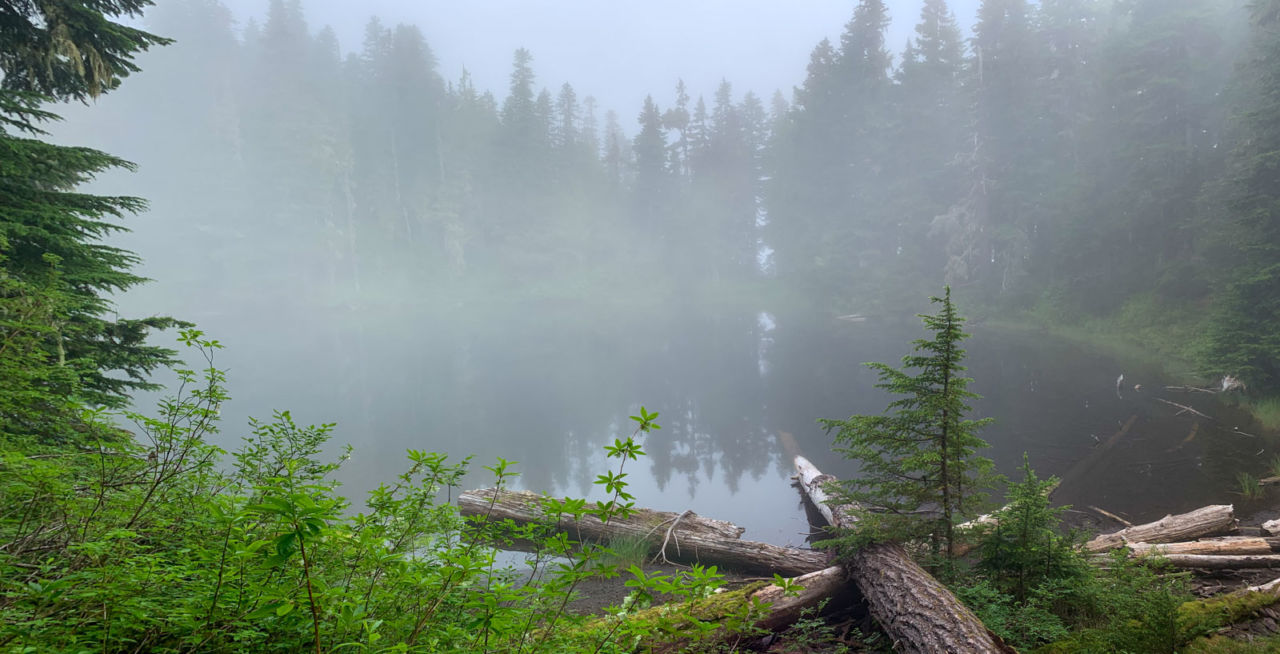 Damp morning at Golden Lake