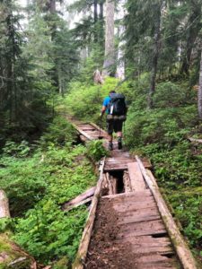 Bridges on the Wonderland Trail are varying states of decay