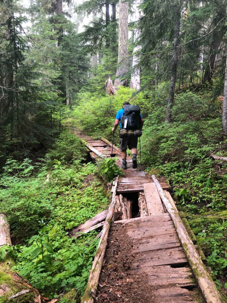 Bridges on the Wonderland Trail are varying states of decay