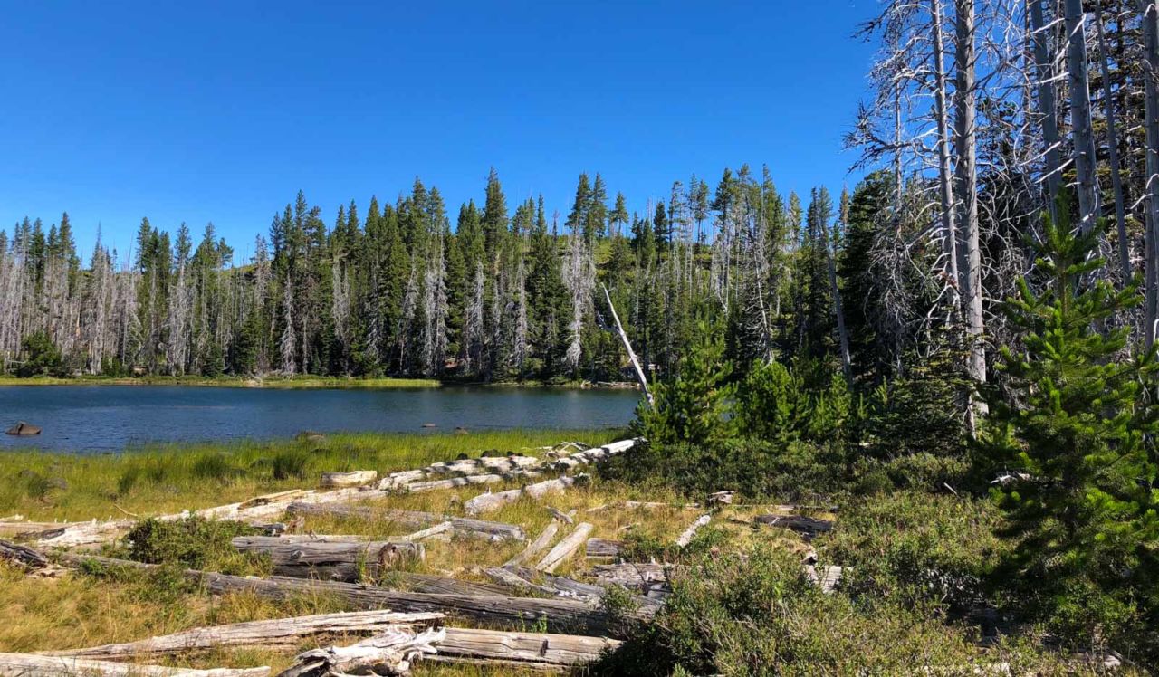 Jack Lake