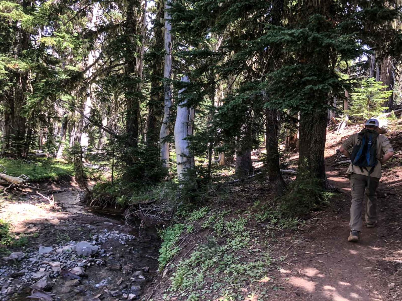 Taking the northern trail back to the car