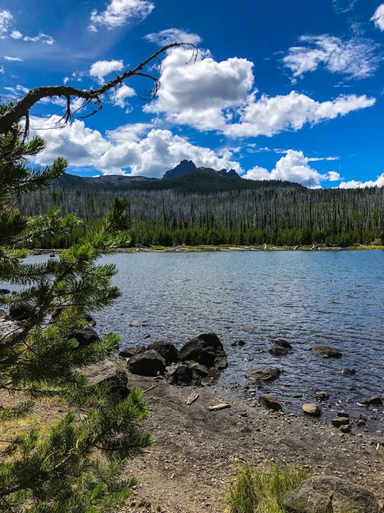 Back at Jack Lake