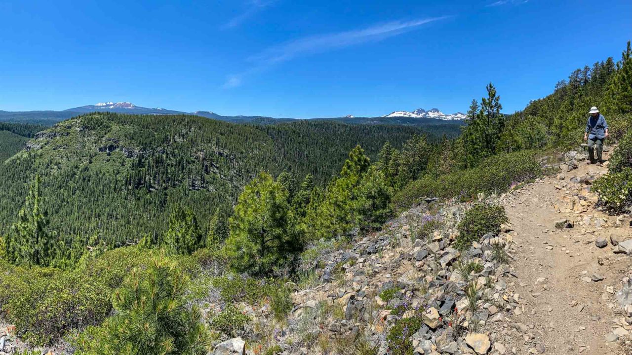 View from the Farewell Trail