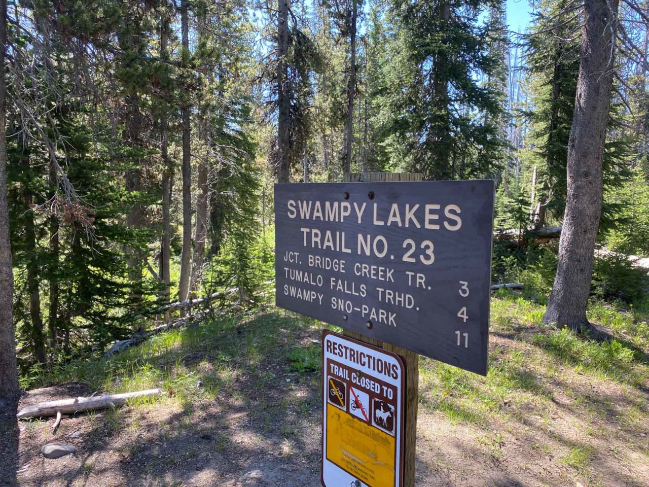 Swampy Lakes Trail Junction