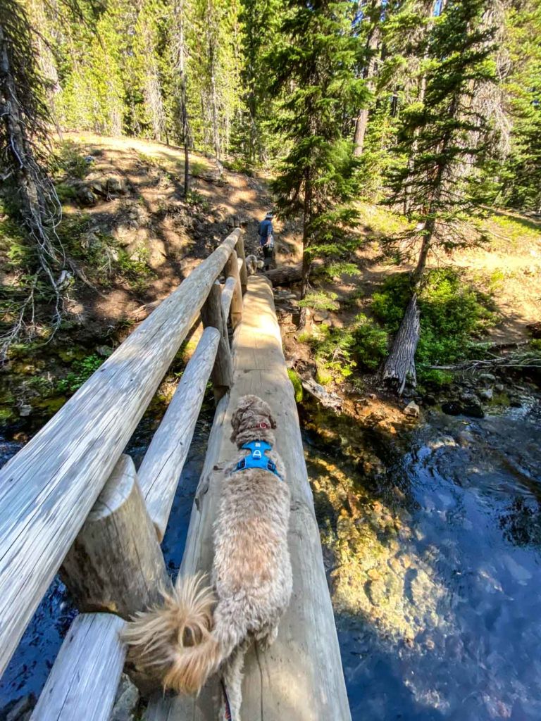 Log Bridge over Tumalo Creek