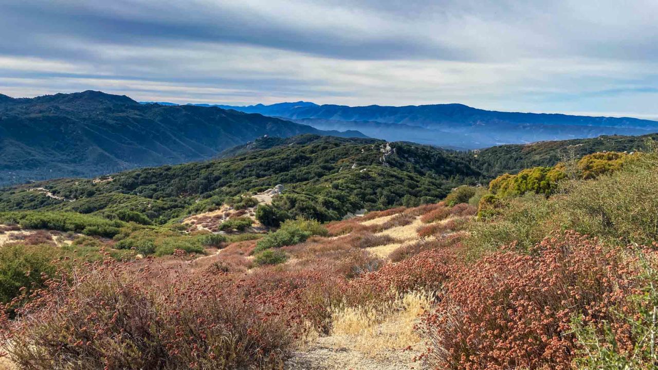 Views above the canyon