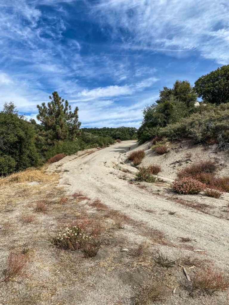 Leaving chaparral and entering forest