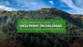 Hiking to High Point on Palomar Mountain
