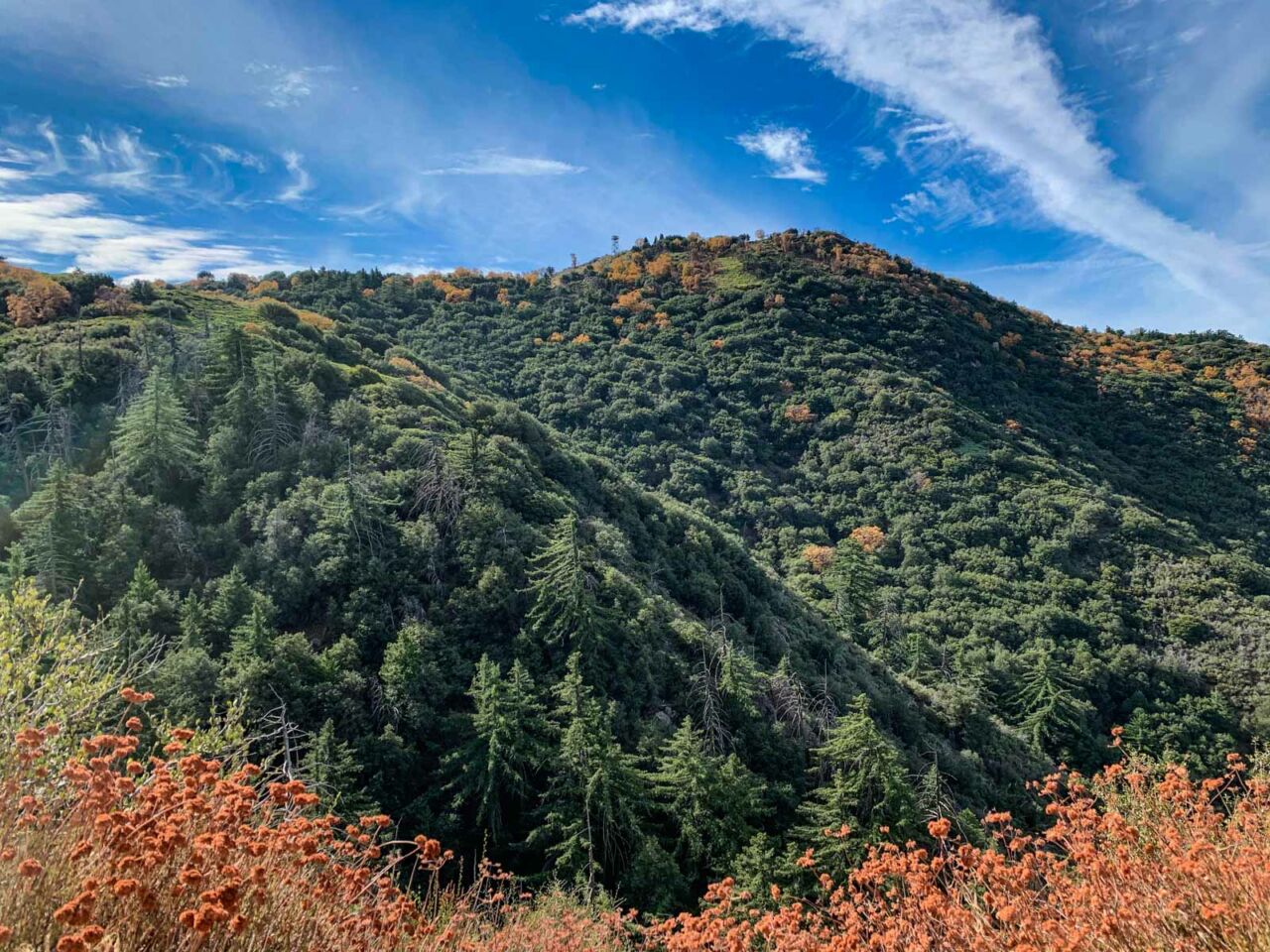 Hiking to High Point on Palomar Mountain in the Cleveland National Forest