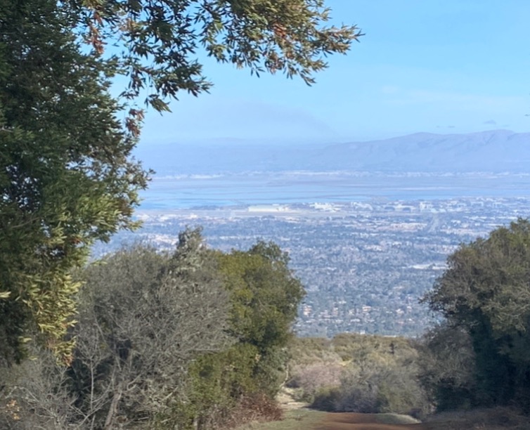 View of the bay from Black Mountain