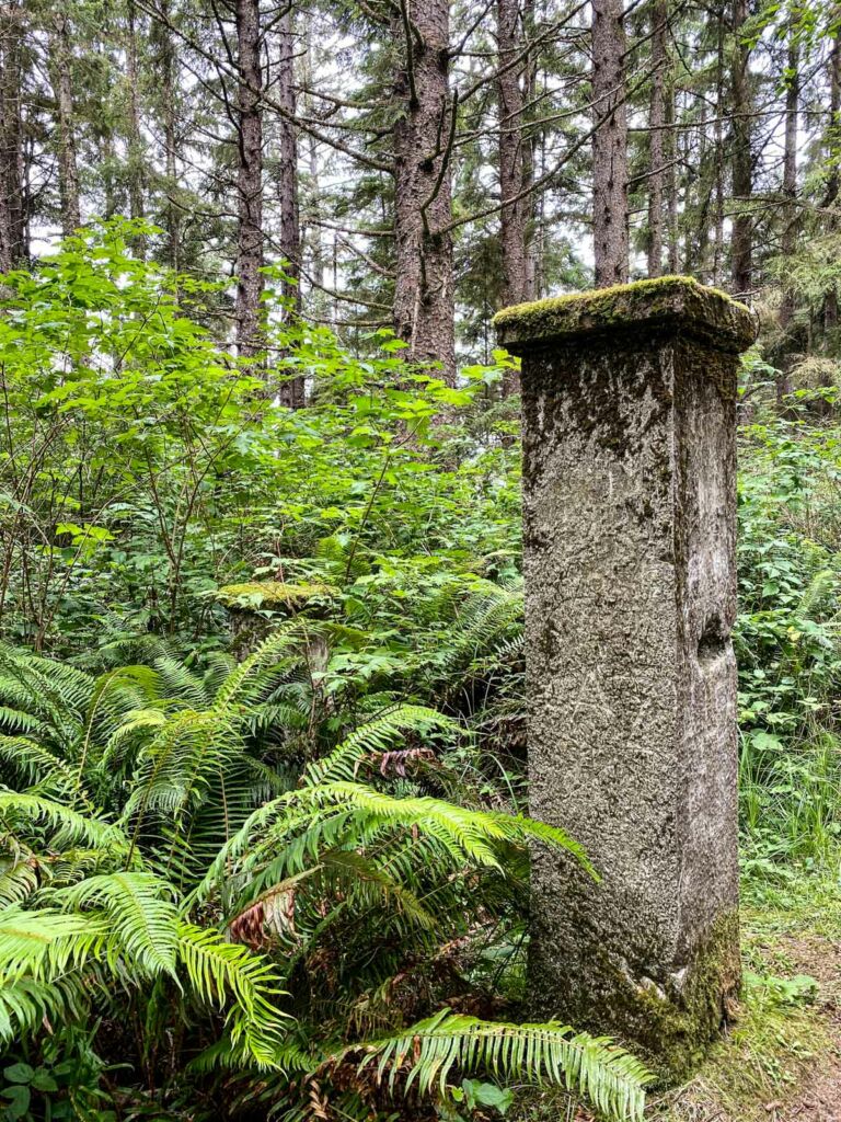 Artifacts from the Simpson Estate